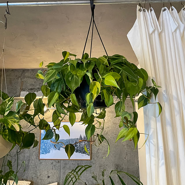 m.さんの部屋