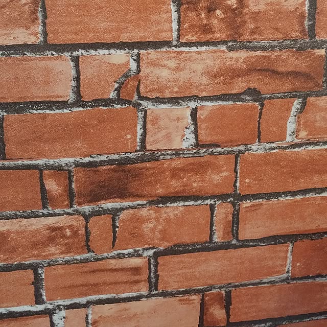 naoさんの実例写真