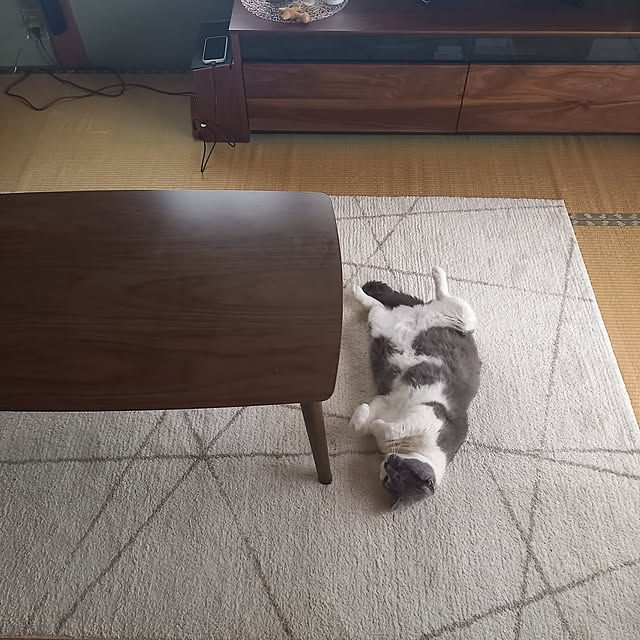 rhuさんの部屋