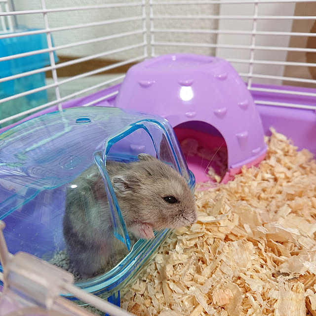 ri-eさんの実例写真