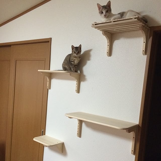 Akikoさんの実例写真