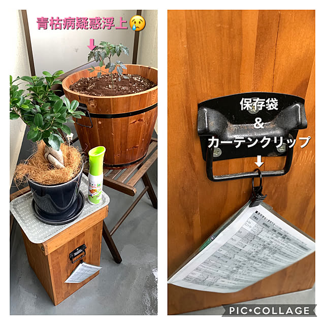 yasuyo66さんの実例写真