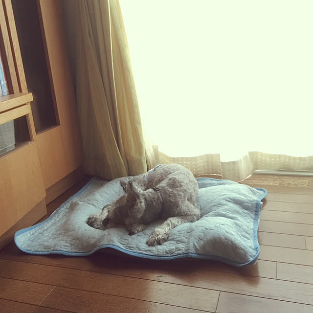 me_sweetさんの実例写真