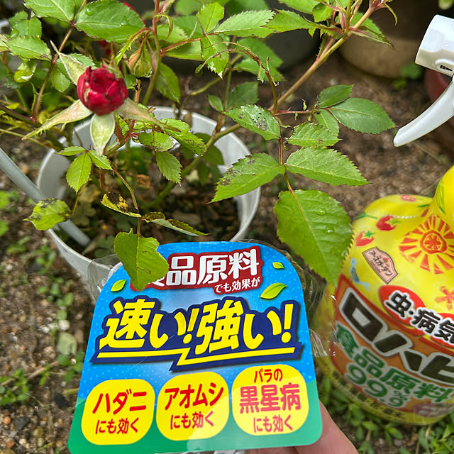 asさんの実例写真