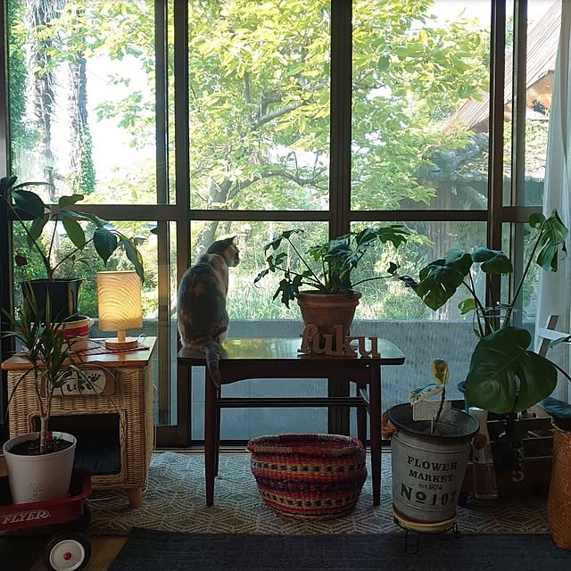 fukuさんの部屋