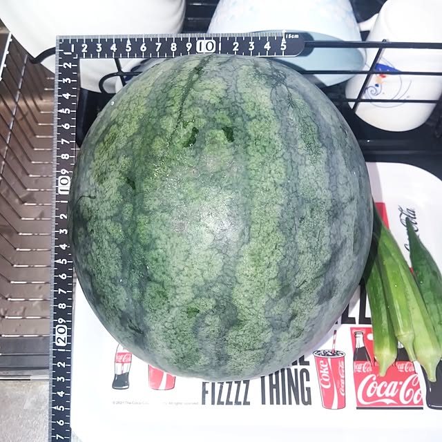 NAOKIさんの実例写真