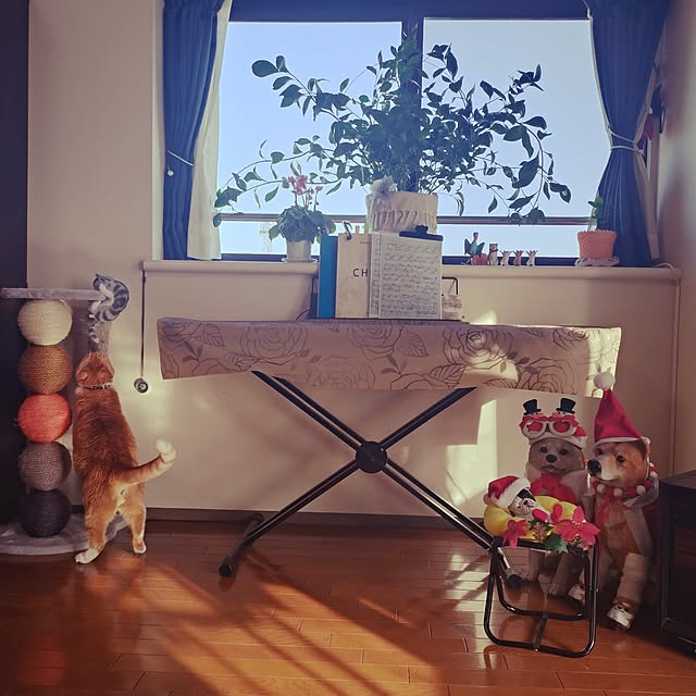 NOAHさんの実例写真