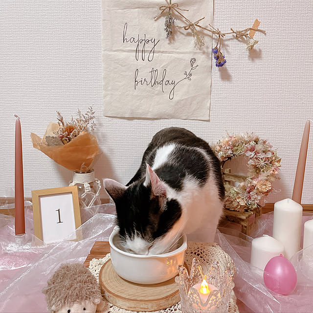 harukaさんの実例写真
