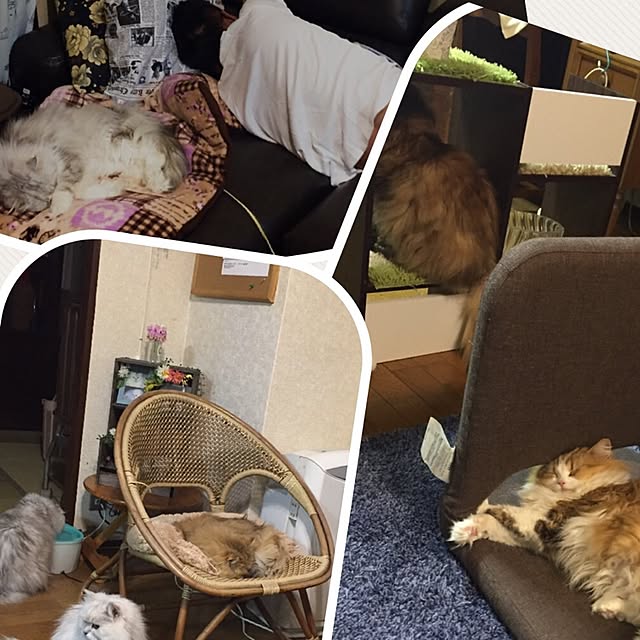 miyapp.hiroppさんの実例写真