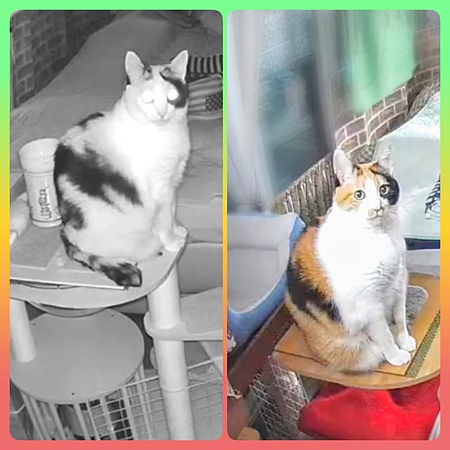 nanaさんの部屋