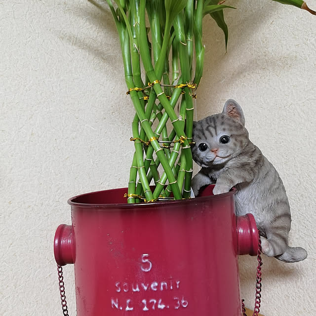 Ayaさんの実例写真