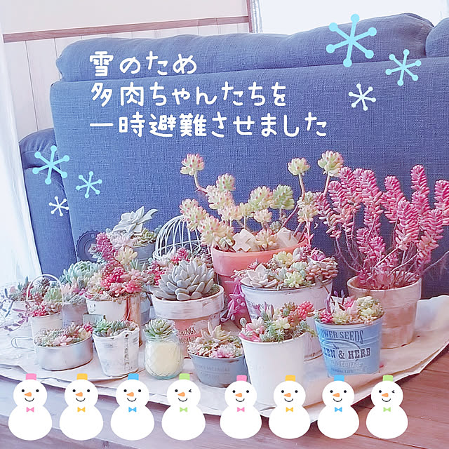 Mikaさんの実例写真