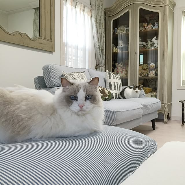 yuchiさんの実例写真