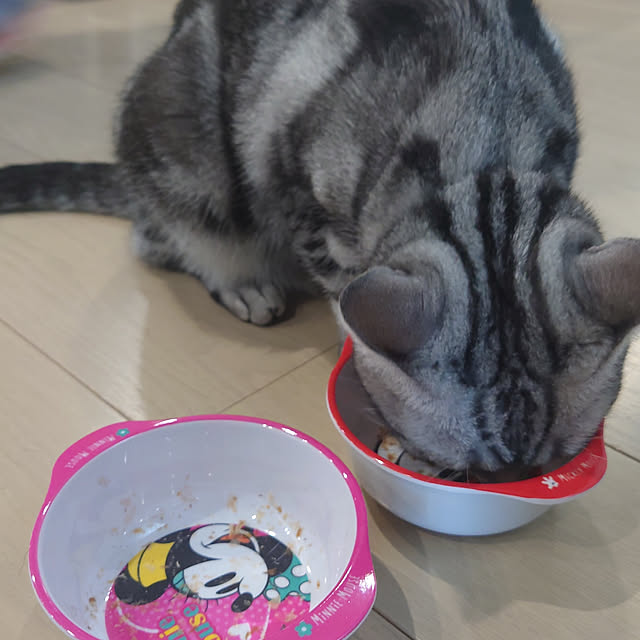 NANACOCOさんの実例写真
