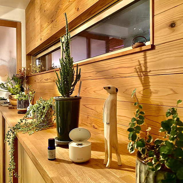 green.green.greenさんの実例写真