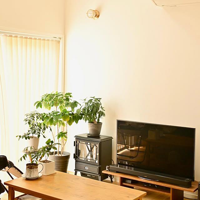 mikigumaさんの部屋