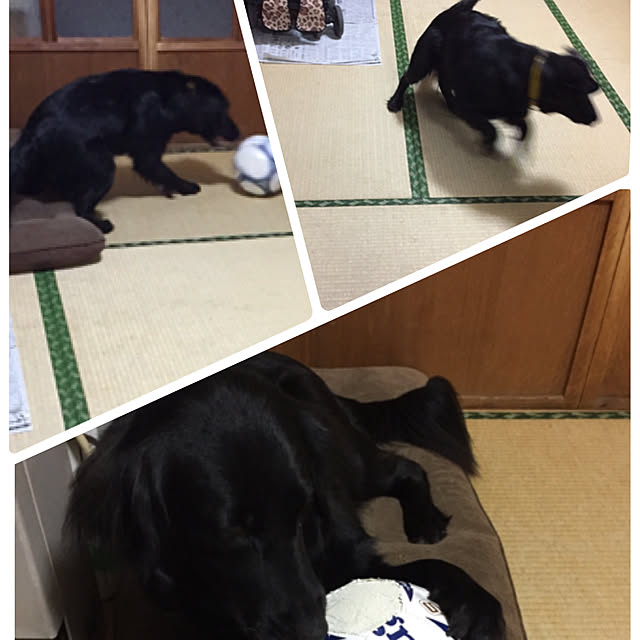 v.4ma-ma.0519さんの実例写真