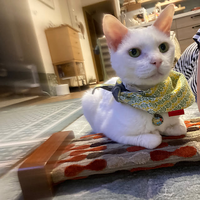 hanaさんの実例写真