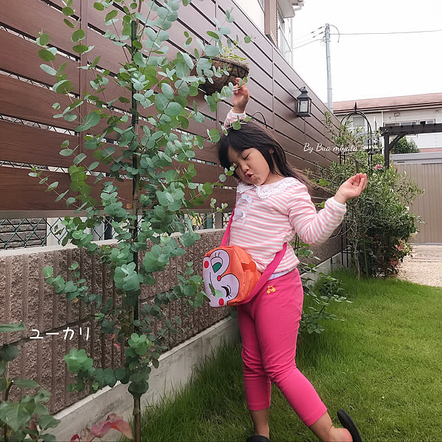 Buaさんの実例写真