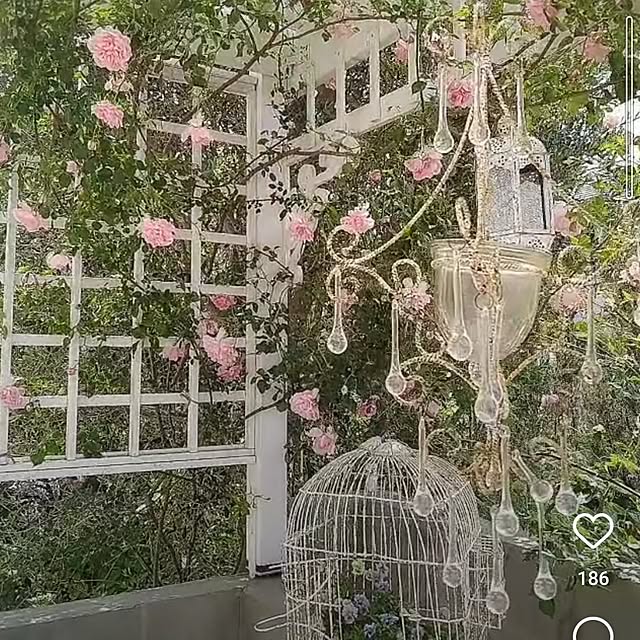 kiyosukeさんの実例写真