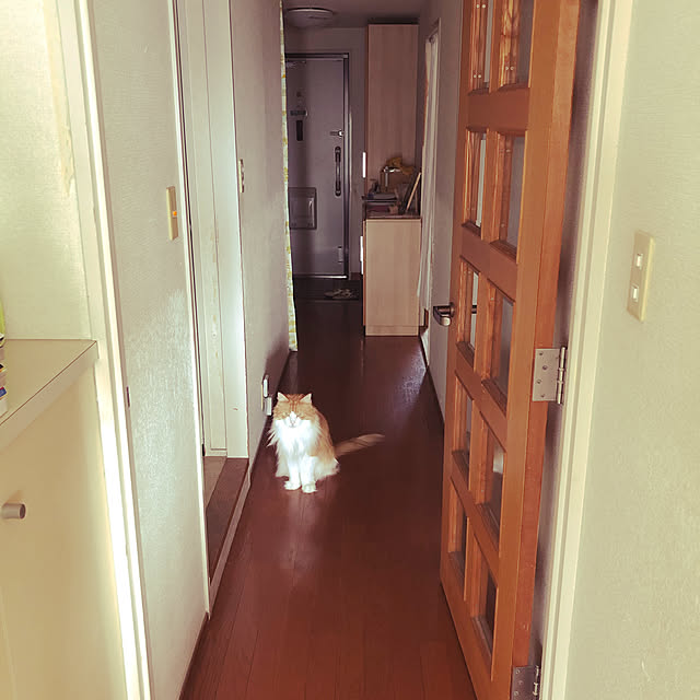 uchidaizuさんの実例写真