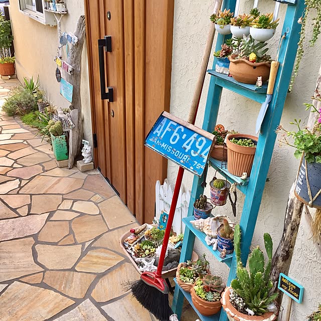 cooさんの実例写真