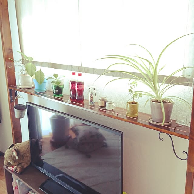 sophistさんの実例写真