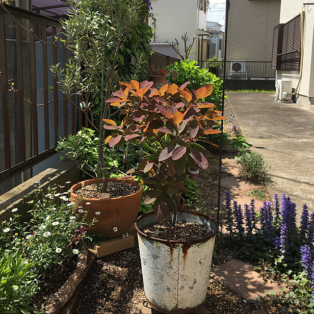 rabiさんの実例写真