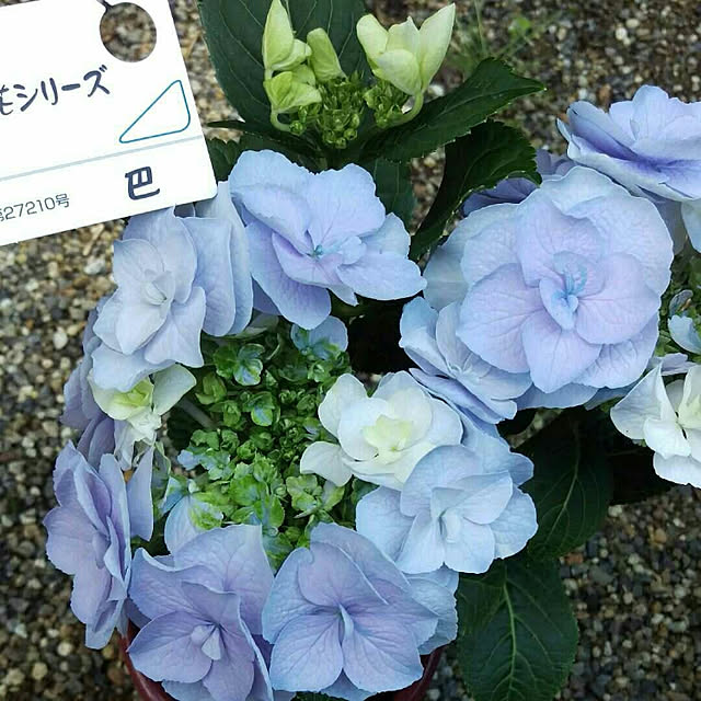 HIRO.TA29さんの実例写真