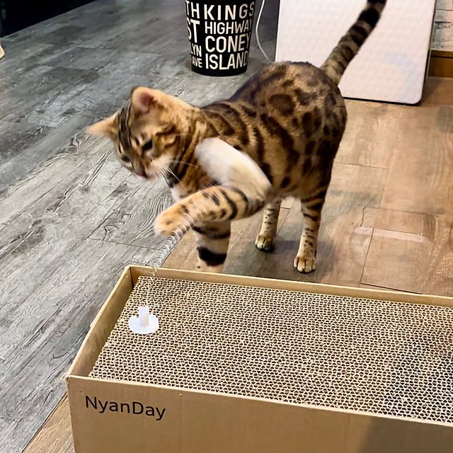 tututu0204さんの部屋