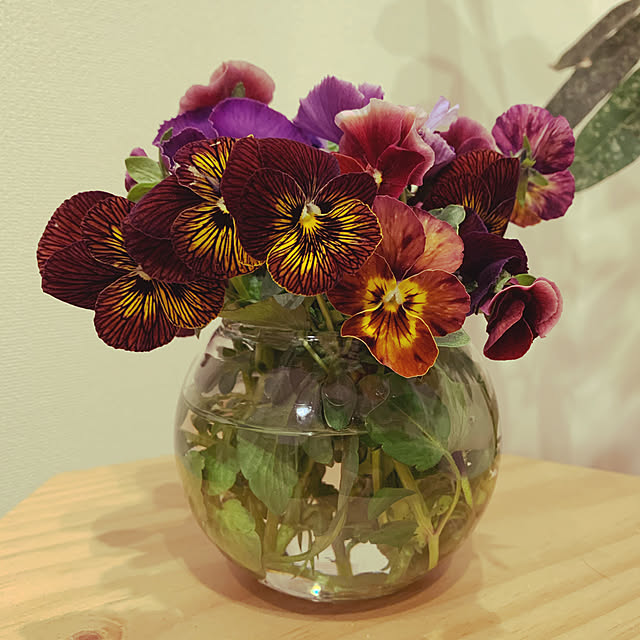 botanical884さんの実例写真