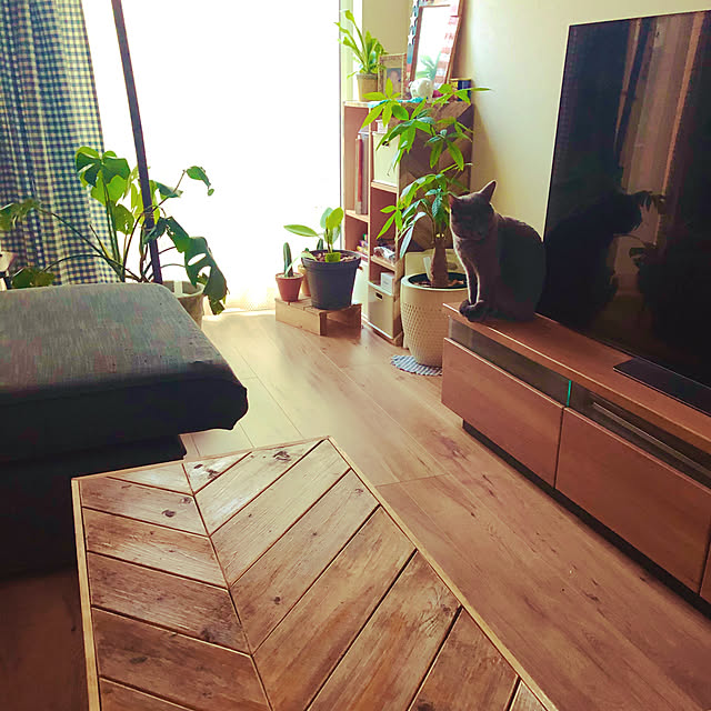 shigoさんの実例写真