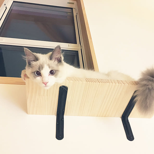 mmmegupoさんの実例写真