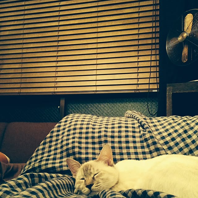 Naoki.さんの実例写真