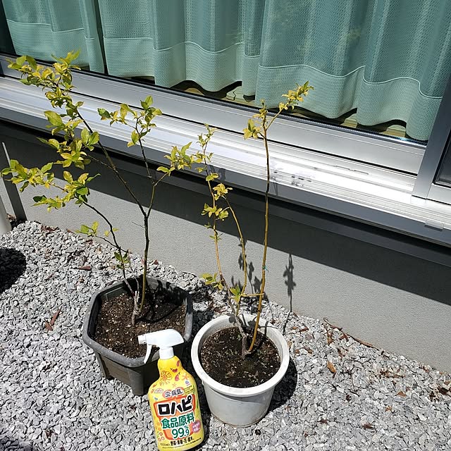 tokkiさんの実例写真