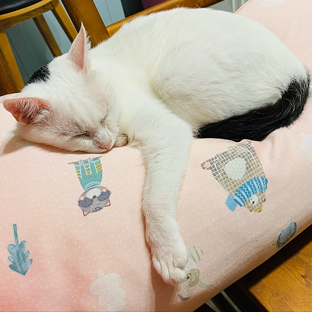 pcu110さんの実例写真