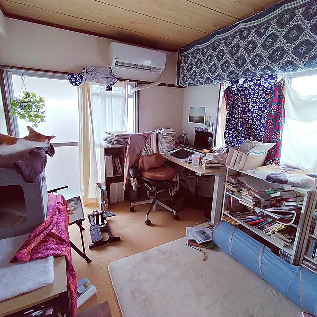 unkoさんの実例写真