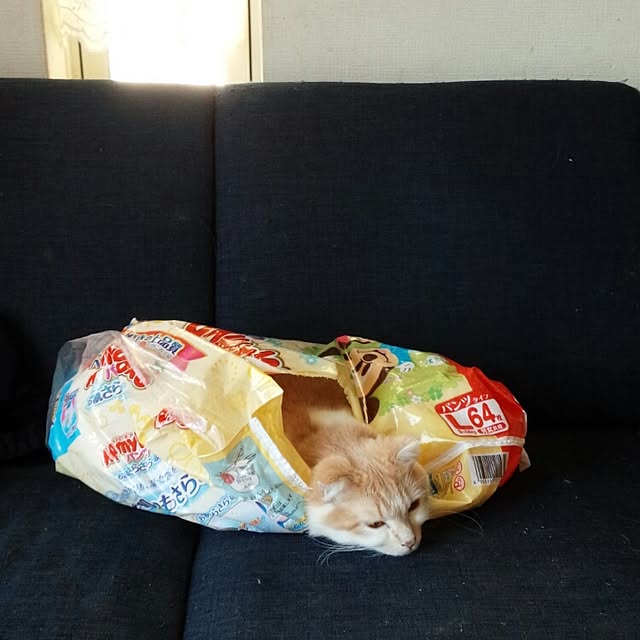 yuさんの実例写真