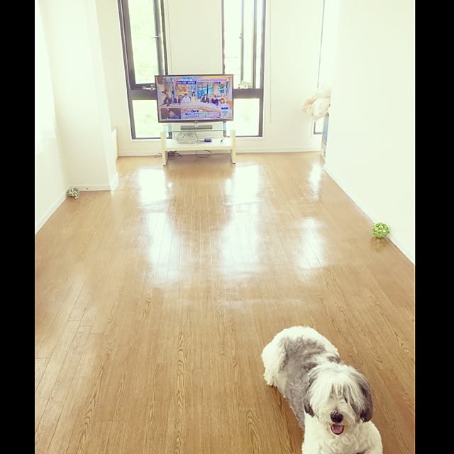elicocongaさんの実例写真