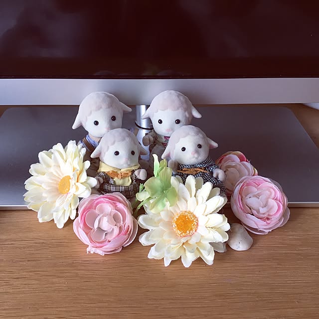 実例写真