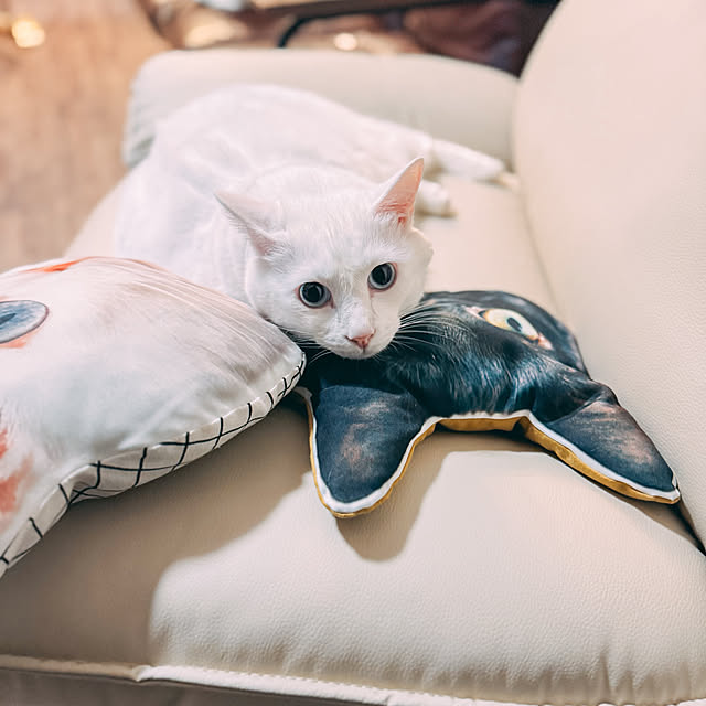 yuiiiさんの実例写真