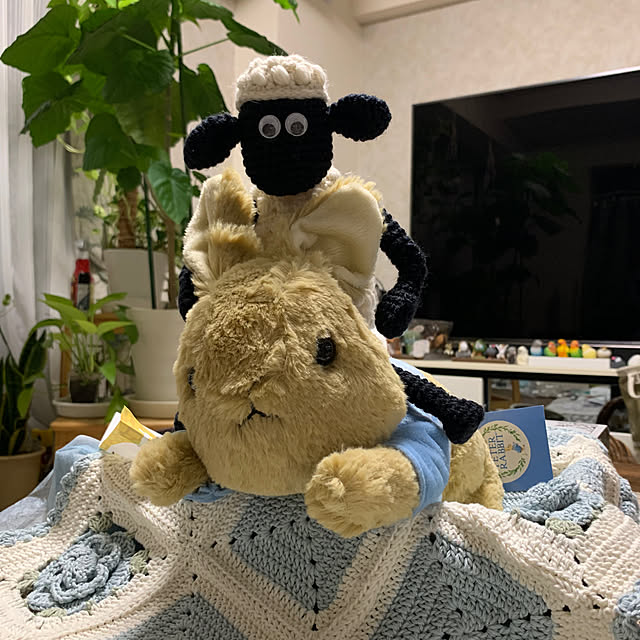Aqettyさんの部屋