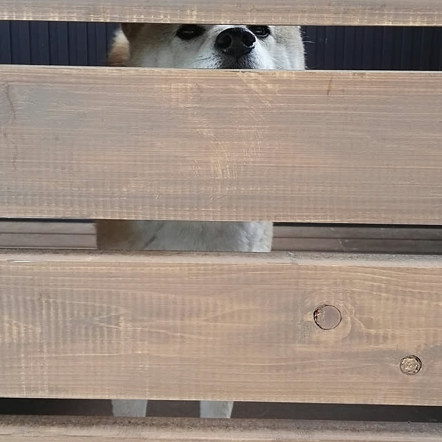 ponhanaさんの実例写真