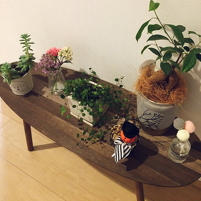 玄関/入り口/ニトリ/セリア/多肉植物/観葉植物...などのインテリア実例 - 2018-09-17 00:17:21