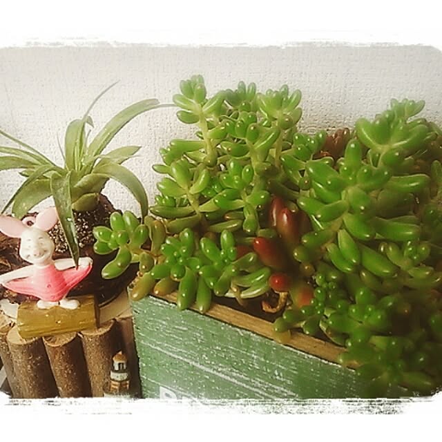 OLIVEさんの実例写真