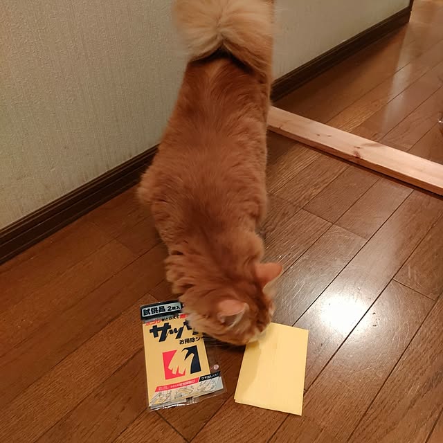 mori_6_12さんの部屋