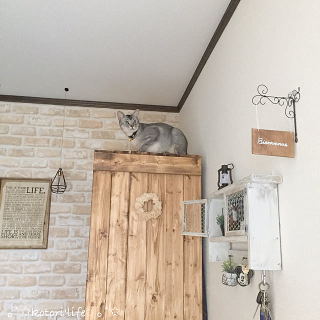 kotoriさんの実例写真