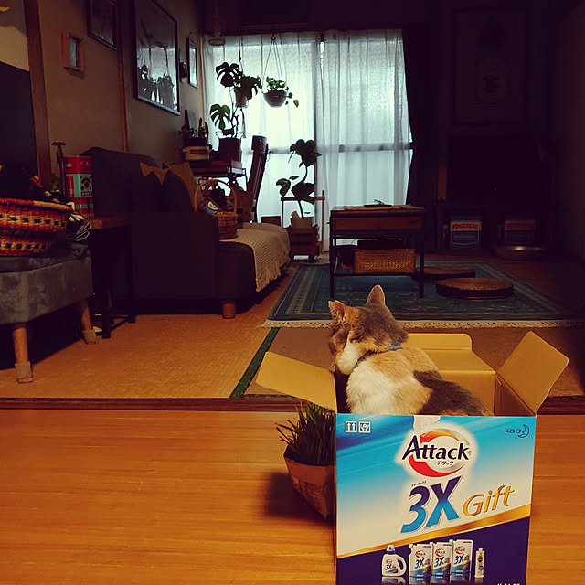 fukuさんの実例写真