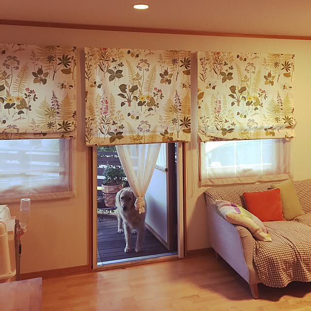 bigsunny0103さんの実例写真