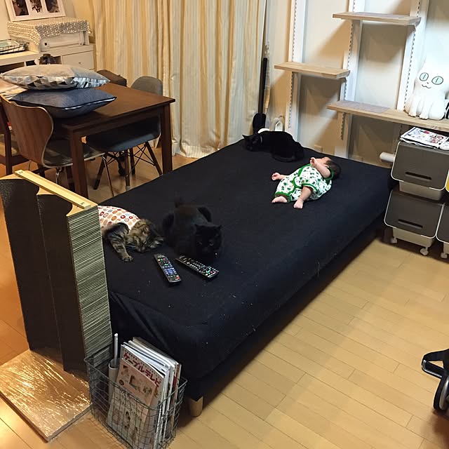 yuki0511さんの実例写真